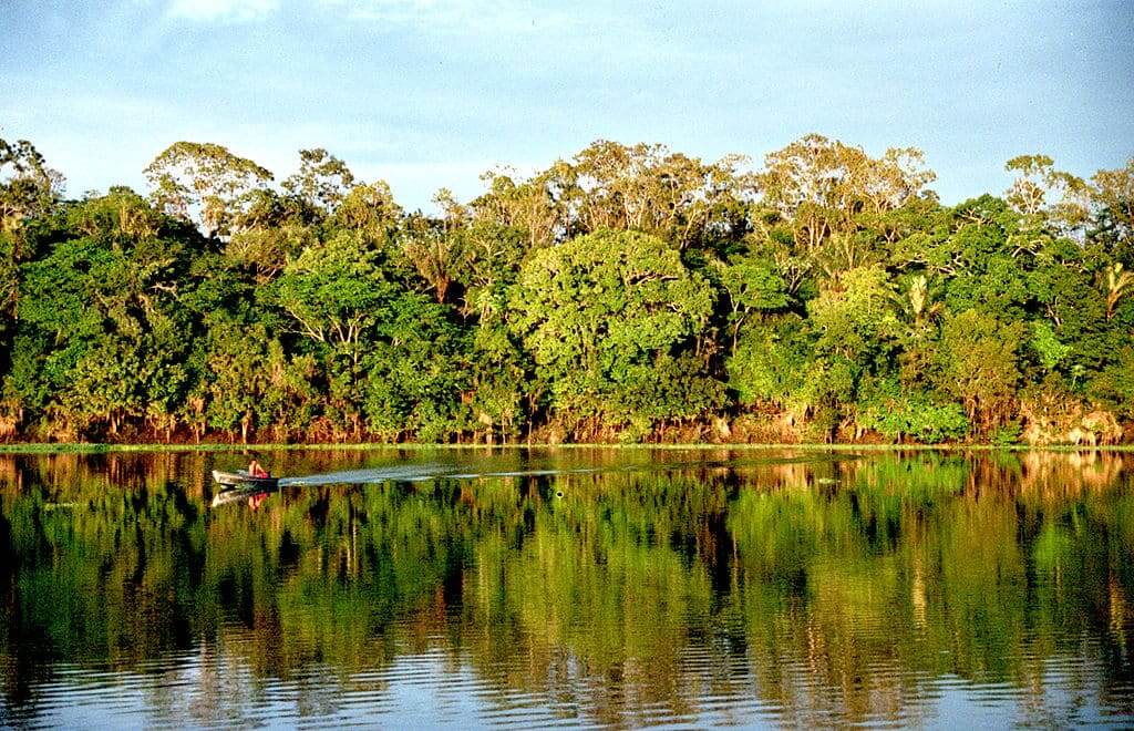 Ecoturismo: Rio sinuoso da Amazônia com vegetação exuberante e vida selvagem