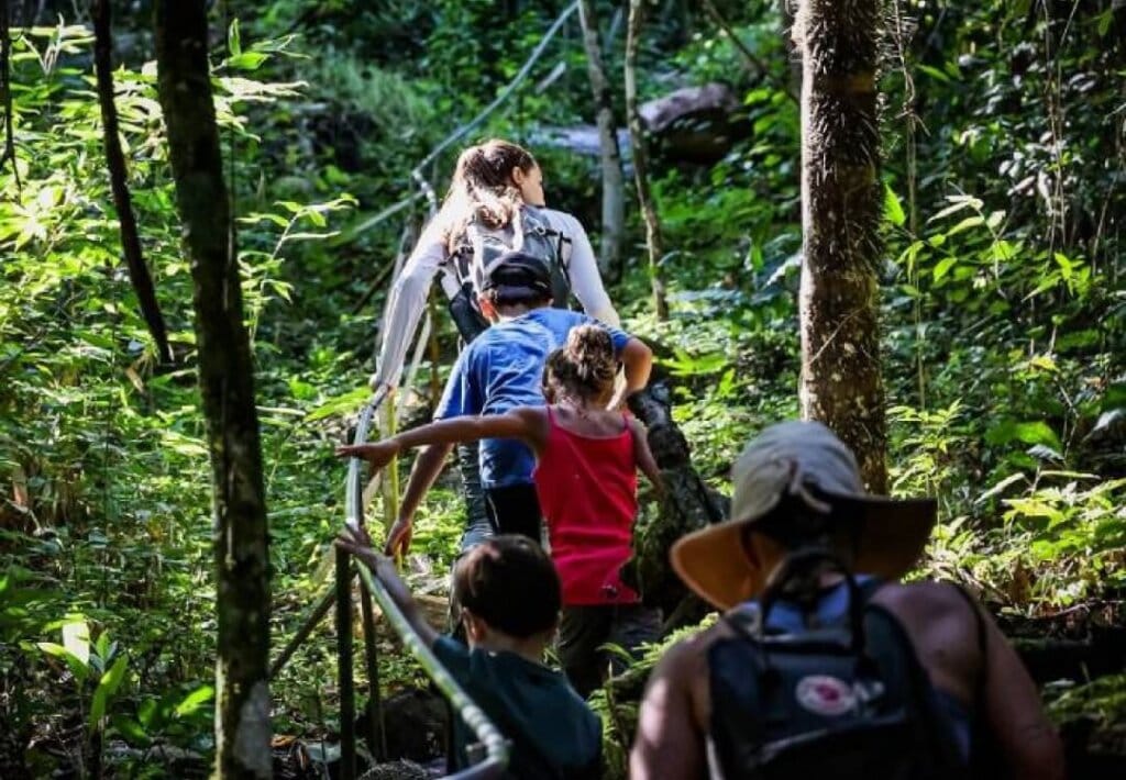 Ecoturismo: Pessoa caminhando em trilha na floresta amazônica